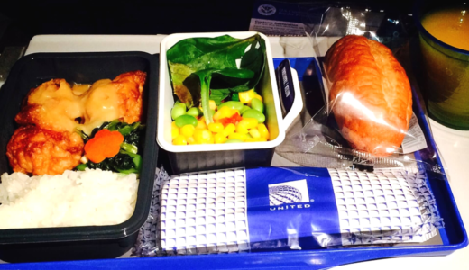 ユナイテッド航空でニューヨークへ！機内食が〇〇すぎるって本当？