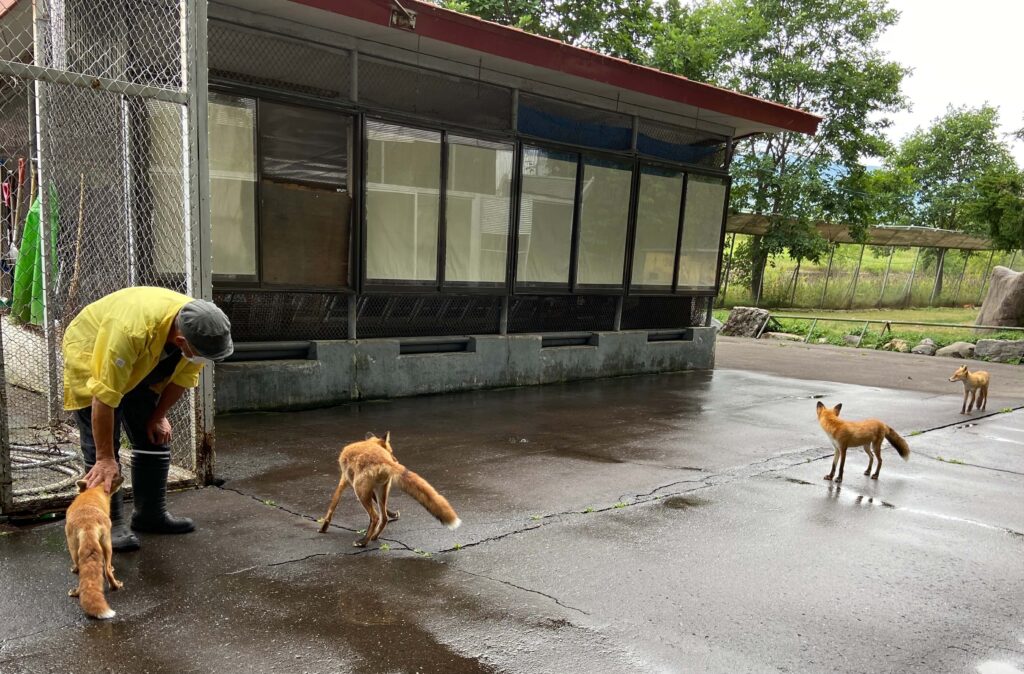 北きつね牧場