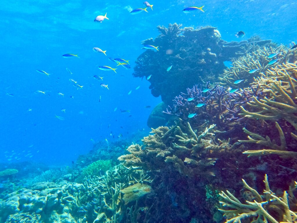 Great Barrier Reef