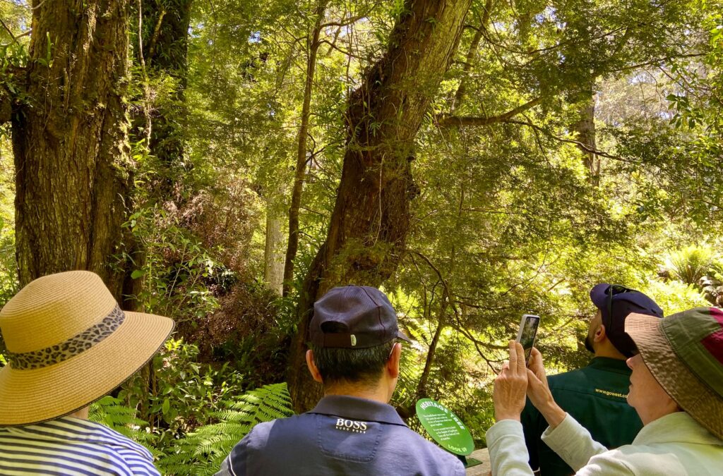 Otway National Park