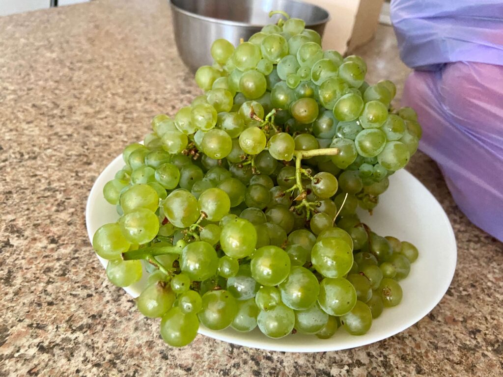 grape