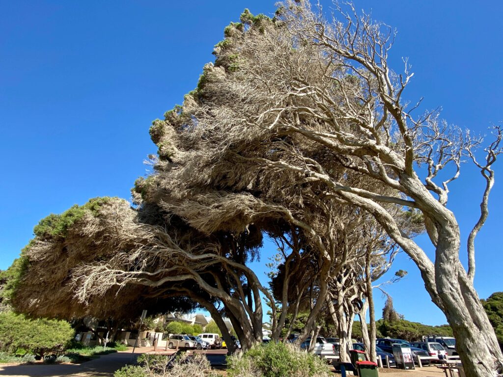 Yallingup Beach