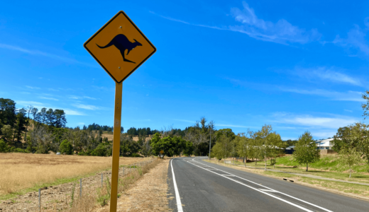 【オーストラリアdeヒッチハイク旅13日目】マンジマップにたどり着きたい！プロヒッチハイカーの異名は…！