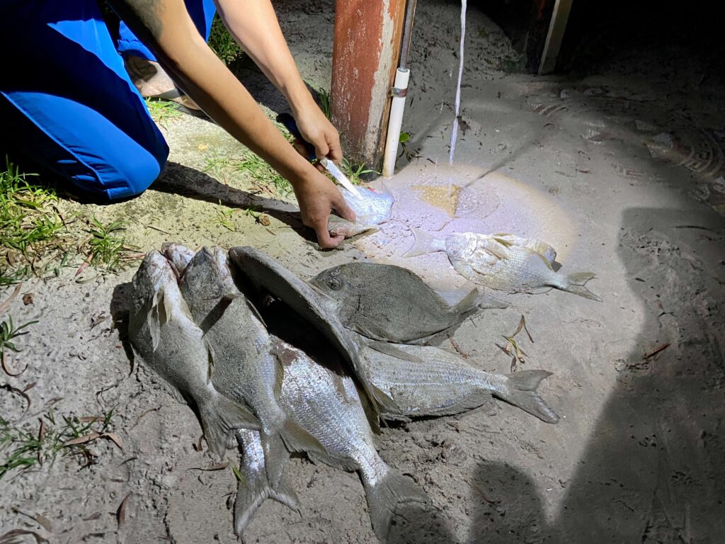 washing fish